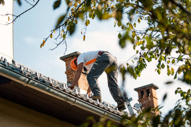 Quick and Trustworthy Emergency Roof Repair Services in Vicksburg, MI